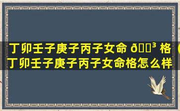 丁卯壬子庚子丙子女命 🌳 格（丁卯壬子庚子丙子女命格怎么样 🕷 ）